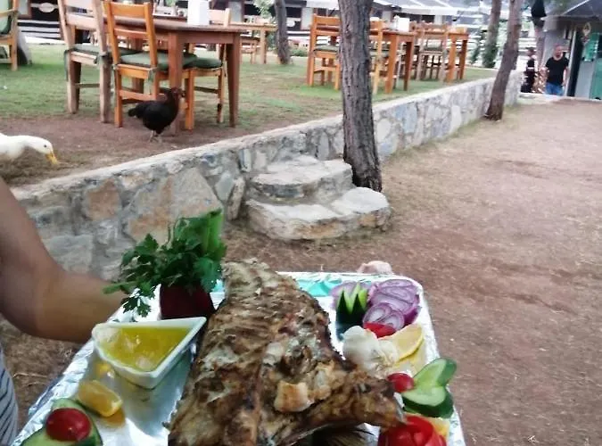 Durusu Ciftlikevleri Datca